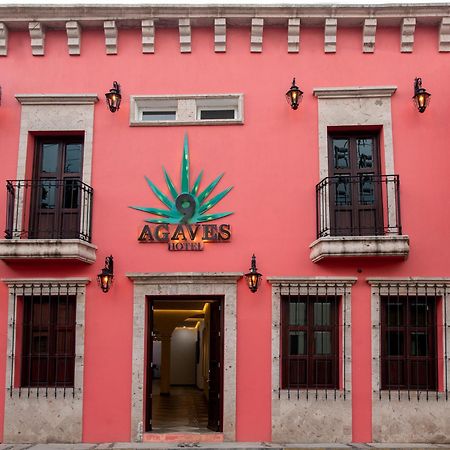 Nueve Agaves Hotel Tequila Exterior photo